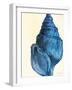 Blue Shell IV-Lanie Loreth-Framed Art Print