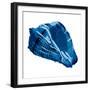 Blue Shell Mate-OnRei-Framed Premium Giclee Print