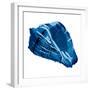 Blue Shell Mate-OnRei-Framed Premium Giclee Print