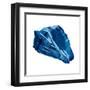 Blue Shell Mate-OnRei-Framed Art Print