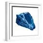 Blue Shell Mate-OnRei-Framed Art Print