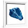 Blue Shell Mate-OnRei-Framed Art Print