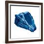 Blue Shell Mate-OnRei-Framed Art Print