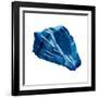 Blue Shell Mate-OnRei-Framed Art Print