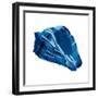 Blue Shell Mate-OnRei-Framed Art Print