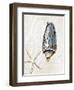 Blue Shell Series I-Aimee Wilson-Framed Art Print