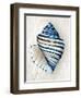 Blue Shell Series III-Aimee Wilson-Framed Art Print