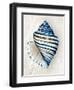 Blue Shell Series III-Aimee Wilson-Framed Art Print