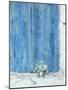 Blue Shutter, 1990-Diana Schofield-Mounted Giclee Print