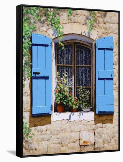 Blue Shutters-Michael Swanson-Framed Stretched Canvas