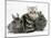 Blue-Silver Exotic Shorthair Kitten with Baby Silver Lionhead Rabbits-Jane Burton-Mounted Photographic Print