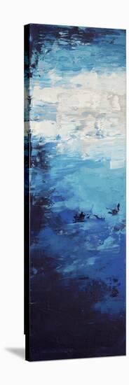 Blue Skies - Canvas 1-Hilary Winfield-Stretched Canvas