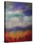 Blue Skies-Sokol Hohne-Stretched Canvas