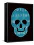 Blue Skull-Summer Tali Hilty-Framed Stretched Canvas