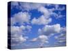 Blue Sky and Puffy White Clouds-Fraser Hall-Stretched Canvas