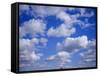 Blue Sky and Puffy White Clouds-Fraser Hall-Framed Stretched Canvas