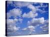 Blue Sky and Puffy White Clouds-Fraser Hall-Stretched Canvas