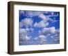 Blue Sky and Puffy White Clouds-Fraser Hall-Framed Photographic Print