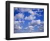 Blue Sky and Puffy White Clouds-Fraser Hall-Framed Photographic Print