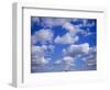 Blue Sky and Puffy White Clouds-Fraser Hall-Framed Photographic Print