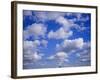 Blue Sky and Puffy White Clouds-Fraser Hall-Framed Photographic Print