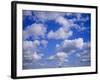 Blue Sky and Puffy White Clouds-Fraser Hall-Framed Photographic Print