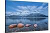 Blue sky at dusk and snowy peaks are reflected in the frozen sea at Oteren Storfjorden Lapland Lyng-ClickAlps-Stretched Canvas