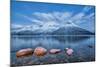 Blue sky at dusk and snowy peaks are reflected in the frozen sea at Oteren Storfjorden Lapland Lyng-ClickAlps-Mounted Photographic Print