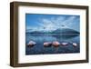 Blue Sky at Dusk and Snowy Peaks are Reflected in the Frozen Sea, Troms-Roberto Moiola-Framed Photographic Print