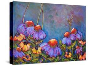 Blue Sky Coneflowers-Blenda Tyvoll-Stretched Canvas