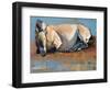 Blue Sky Day, (Przewalski), 2014-Mark Adlington-Framed Giclee Print