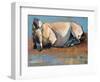 Blue Sky Day, (Przewalski), 2014-Mark Adlington-Framed Giclee Print