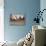 Blue Sky Day, (Przewalski), 2014-Mark Adlington-Stretched Canvas displayed on a wall