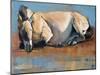 Blue Sky Day, (Przewalski), 2014-Mark Adlington-Mounted Giclee Print