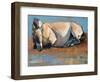 Blue Sky Day, (Przewalski), 2014-Mark Adlington-Framed Premium Giclee Print