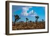 Blue Sky II-Erin Berzel-Framed Photographic Print