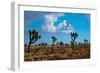 Blue Sky II-Erin Berzel-Framed Photographic Print