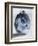 Blue Smoke Mate-OnRei-Framed Art Print