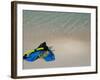 Blue Snorkeling Gear, Renaissance Island, Aruba, Caribbean-Lisa S. Engelbrecht-Framed Photographic Print