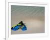 Blue Snorkeling Gear, Renaissance Island, Aruba, Caribbean-Lisa S. Engelbrecht-Framed Photographic Print