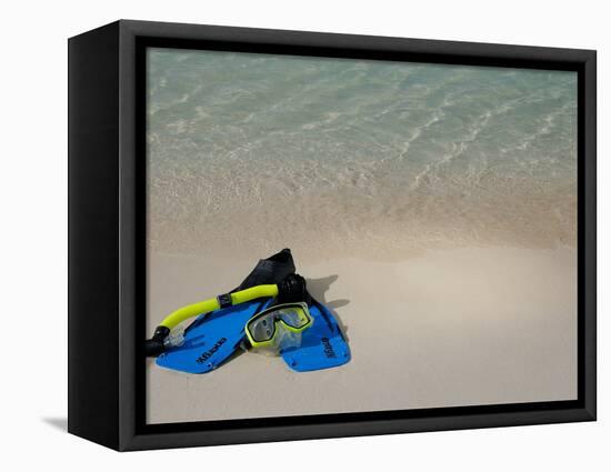 Blue Snorkeling Gear, Renaissance Island, Aruba, Caribbean-Lisa S. Engelbrecht-Framed Stretched Canvas