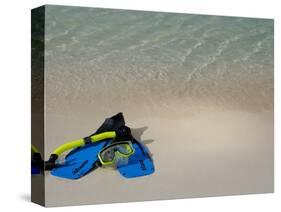 Blue Snorkeling Gear, Renaissance Island, Aruba, Caribbean-Lisa S. Engelbrecht-Stretched Canvas