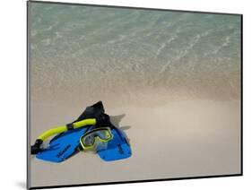 Blue Snorkeling Gear, Renaissance Island, Aruba, Caribbean-Lisa S. Engelbrecht-Mounted Photographic Print