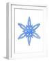 Blue Snowflake 3-Wendy Edelson-Framed Giclee Print