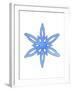 Blue Snowflake 3-Wendy Edelson-Framed Giclee Print