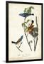 Blue Song Grosbeak-John James Audubon-Framed Art Print