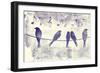 Blue Songbirds-Mindy Sommers-Framed Giclee Print