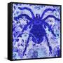 Blue Spider-Teofilo Olivieri-Framed Stretched Canvas