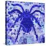 Blue Spider-Teofilo Olivieri-Stretched Canvas