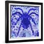 Blue Spider-Teofilo Olivieri-Framed Giclee Print